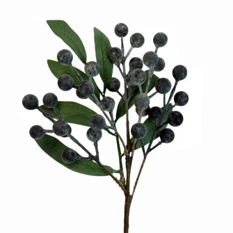 Blueberries in a bunch