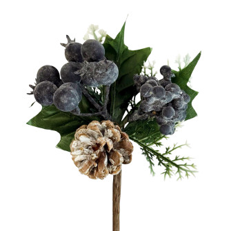 Blueberries in a bunch with a cone