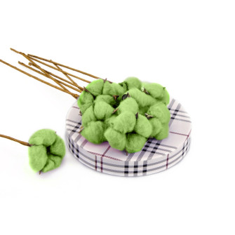 An artificial cotton branch is light green