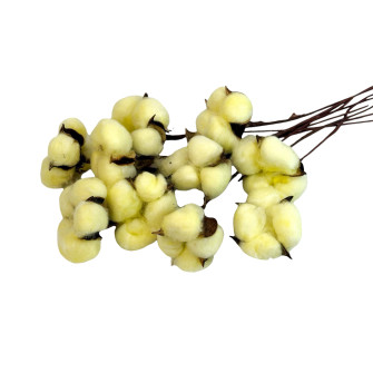 Artificial cotton branch Vanilla