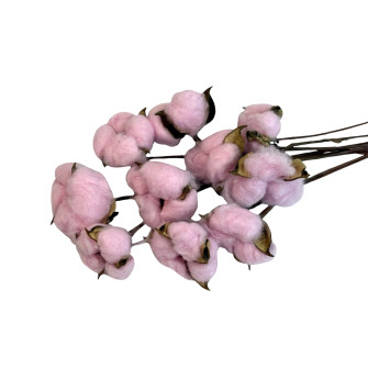 An artificial cotton branch is light green