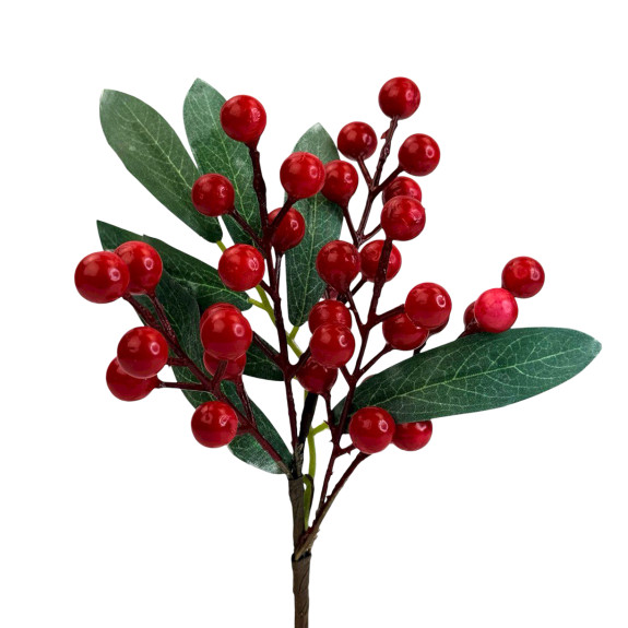 Red berries in a bunch