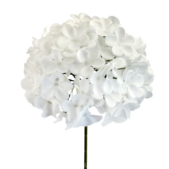 Hydrangea piece Bila