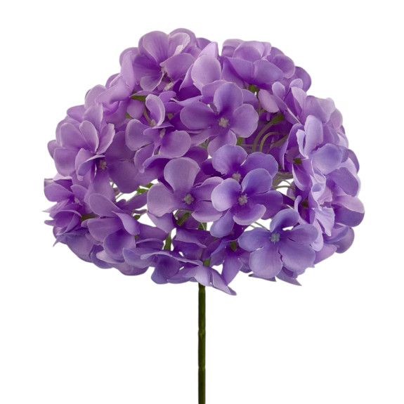Hydrangea piece Buzkova