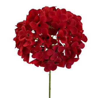 Hydrangea piece Red