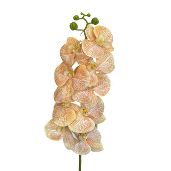 Artificial Orchid Beige