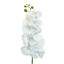 Artificial Orchid White