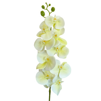 Artificial Orchid Milk