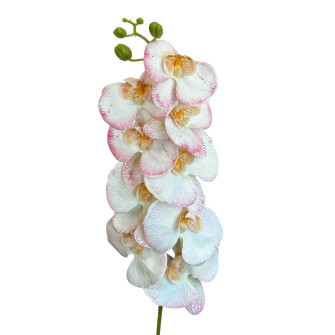 Artificial Phalaenopsis Orchid White