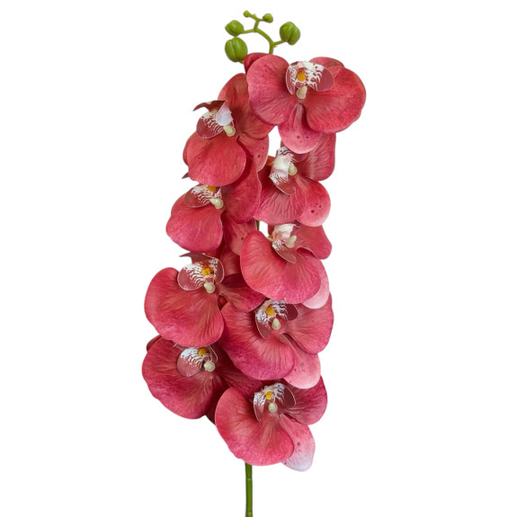 Artificial Phalaenopsis Orchid Red