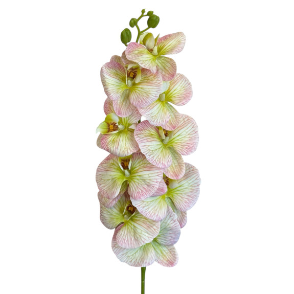 Artificial orchid Phalaenopsis Beige