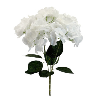 Hydrangea bouquet piece White