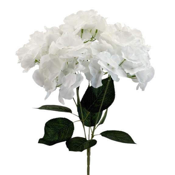 Hydrangea bouquet piece White