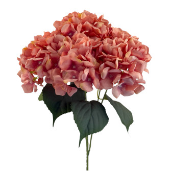 Hydrangea broom-shaped piece bouquet Rozheviy