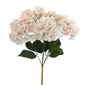 Hydrangea broom-shaped piece bouquet Light russet