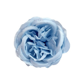 Flower heads Peony Rose Blue