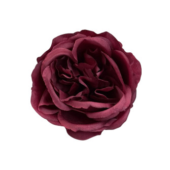 Flower heads Peony rose Bordeaux