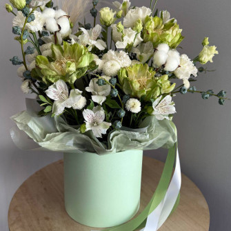 Set of 3 round boxes Mint