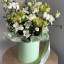 Set of 3 round boxes Mint