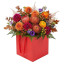 Cubic bag Chervoniy 30 x 30 x 30cm