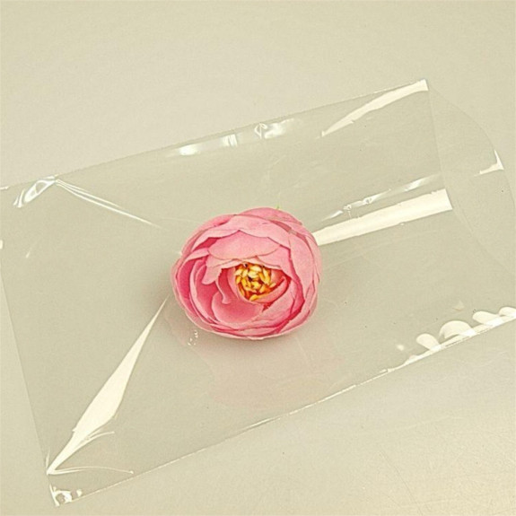 Packages PP 100pcs 10*15cm.transparent