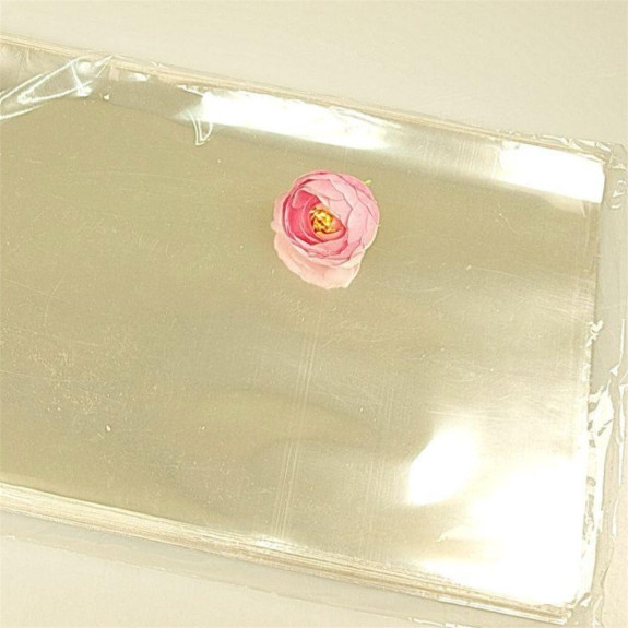 Packages PP 100 PCs 30*40cm.transparent
