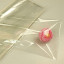 Packages PP 100 PCs 15*30cm.transparent