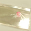 Packages PP 100 PCs 20*40cm.transparent