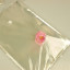Packages PP 100 PCs 20*30cm.transparent