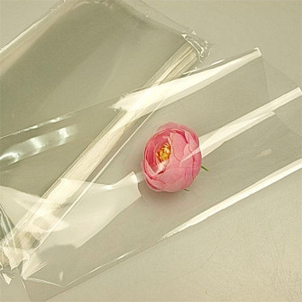 Packages PP 100pcs 10*20cm.transparent