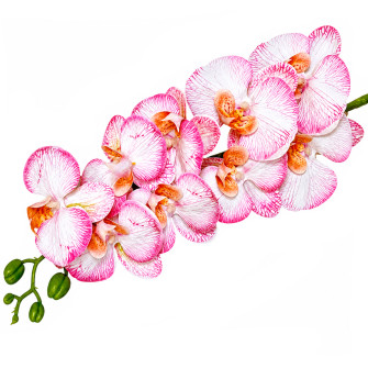 Artificial orchid Nizhny powder