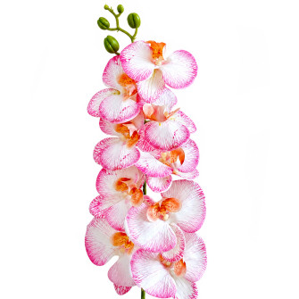 Artificial orchid Nizhny powder