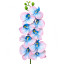 Artificial Orchid Pink-Blue