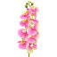 Artificial orchid Mint-raspberry