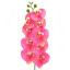 Artificial Coral Orchid