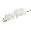 Artificial Phalaenopsis Orchid White