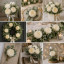 Peony flower heads Milky