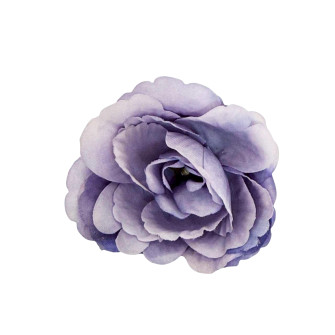Eustoma flower heads Lilac