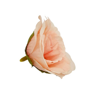 Eustoma flower heads Peach