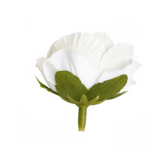 Flower heads of peony rose White