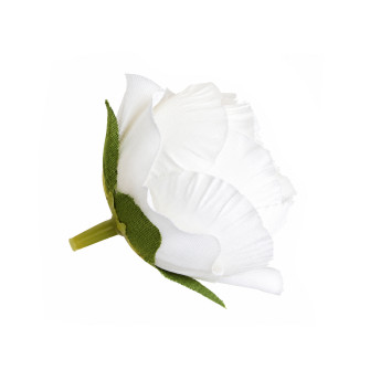 Flower heads of peony rose White