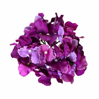 Flower heads Hydrangea Violet