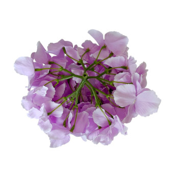 Flower heads by Hortensia Buzkova