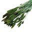 Assorted dyed dried crested wheatgrass