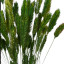 Assorted dyed dried crested wheatgrass