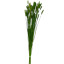 Assorted dyed dried crested wheatgrass
