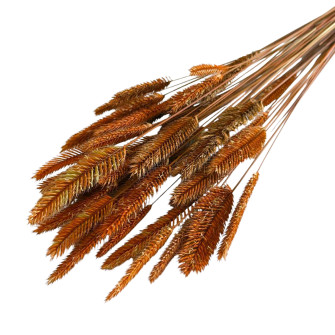 Assorted dyed dried crested wheatgrass