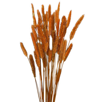 Assorted dyed dried crested wheatgrass