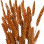Assorted dyed dried crested wheatgrass