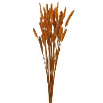 Assorted dyed dried crested wheatgrass